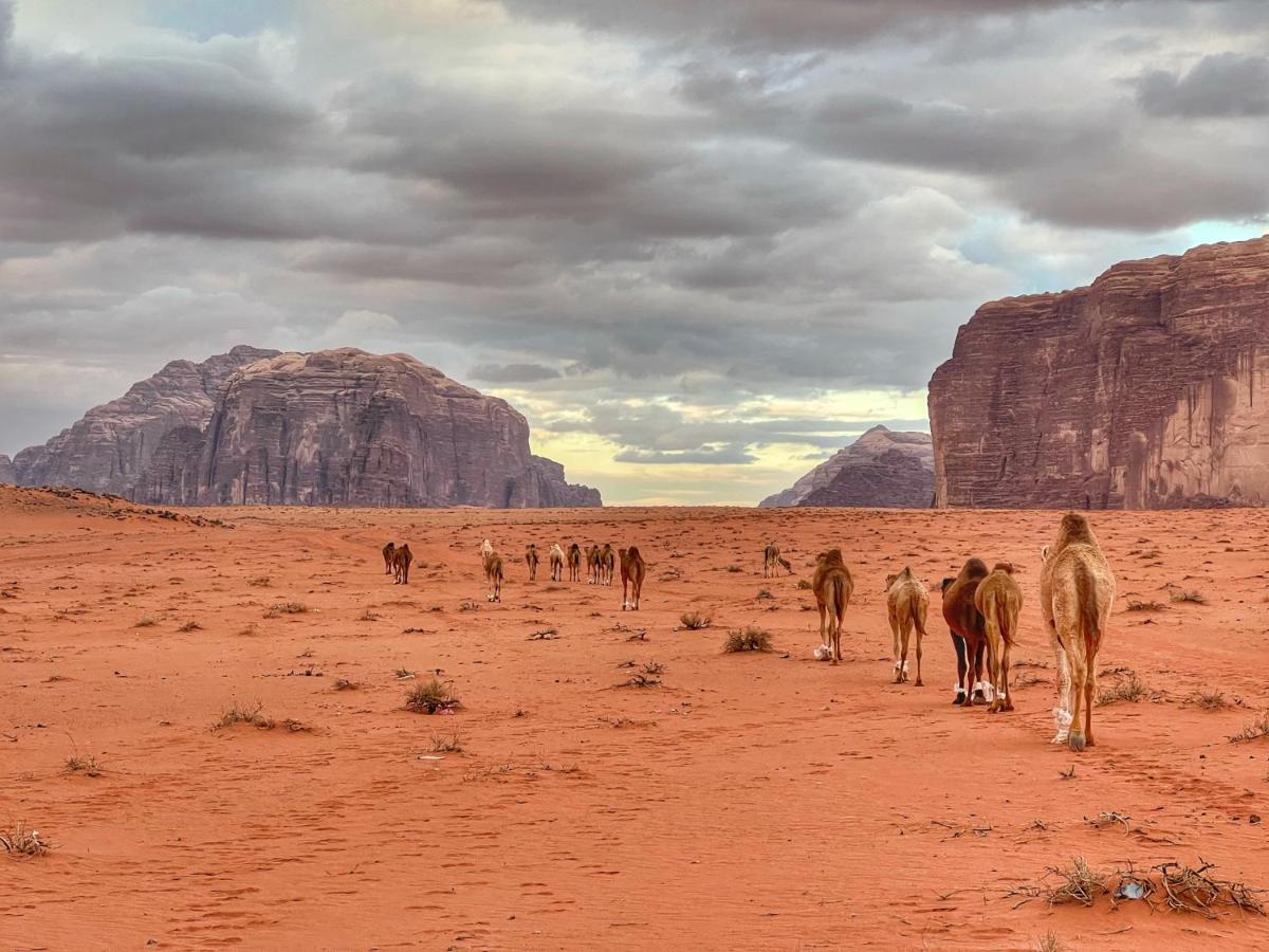 Wadi Rum Bedouin Tour With A Camp Esterno foto