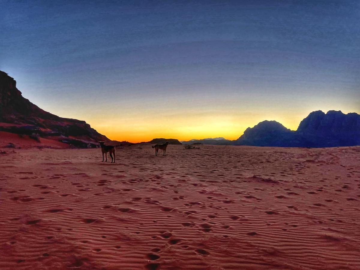 Wadi Rum Bedouin Tour With A Camp Esterno foto